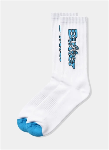 Butter Goods Smashed Logo Strumpa